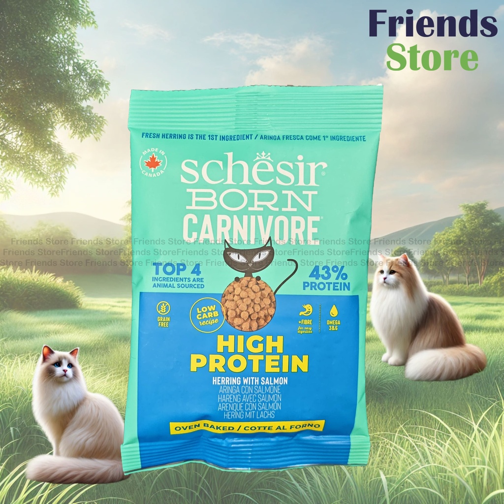 Schesir - 高蛋白鯡魚三文魚無穀成貓糧 80g